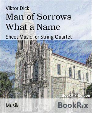 bigCover of the book Man of Sorrows What a Name by 