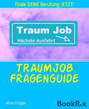 Cover of the book TRAUMJOB Fragenguide by Alexis Debary
