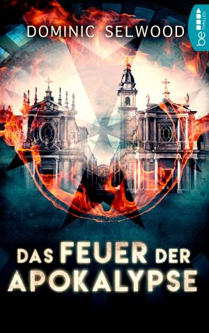 Cover of the book Das Feuer der Apokalypse by Andreas Schmidt