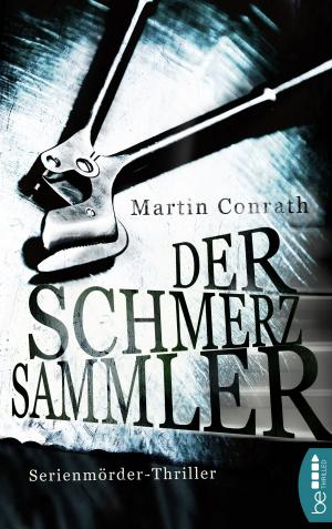 Cover of the book Der Schmerzsammler by Ann Granger