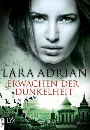 Cover of the book Erwachen der Dunkelheit by Pamela Palmer