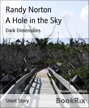Cover of the book A Hole in the Sky by Pierre d'Amour