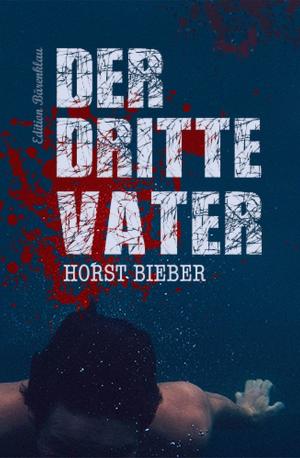 Cover of the book Der dritte Vater by Hans-Jürgen Raben