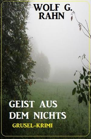 Cover of the book Geist aus dem Nichts by Anton Fuchs, Rudolf Stirn