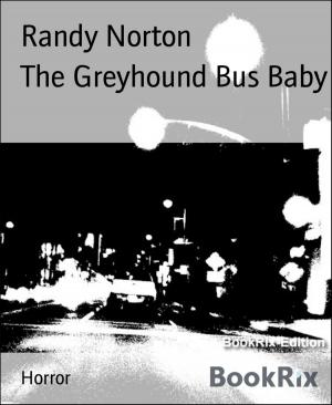 Book cover of The Greyhound Bus Baby