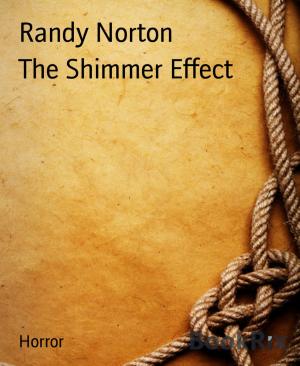 Book cover of The Shimmer Effect