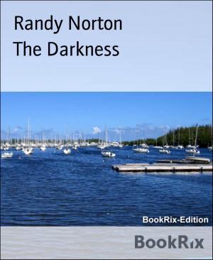 Cover of the book The Darkness by Madame Missou