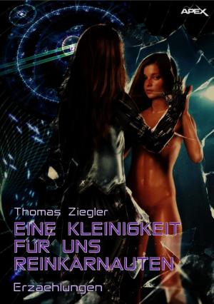 Cover of the book EINE KLEINIGKEIT FÜR UNS REINKARNAUTEN by Karin Welters