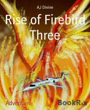 Cover of the book Rise of Firebird Three by Silvia Graf