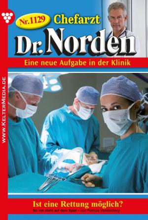 Book cover of Chefarzt Dr. Norden 1129 – Arztroman