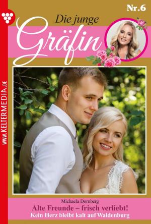 bigCover of the book Die junge Gräfin 6 – Adelsroman by 