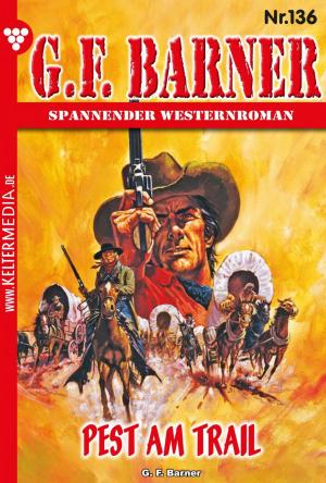 Cover of the book G.F. Barner 136 – Western by Marianne Schwarz