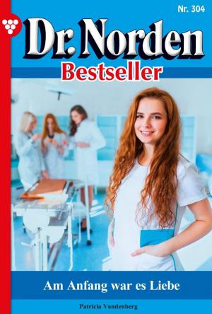 Book cover of Dr. Norden Bestseller 304 – Arztroman