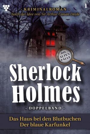 Cover of the book Sherlock Holmes Doppelband 1 – Kriminalroman by Laura Martens