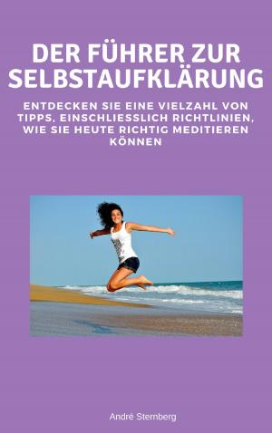 Cover of the book Der Führer zur Selbstaufklärung by Katrin Kleebach