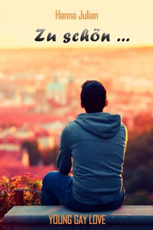 Cover of the book Zu schön ... by Susanne Jauss