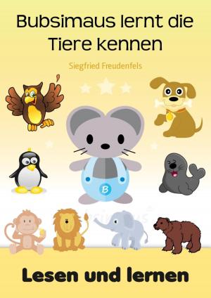 Cover of the book Bubsimaus lernt die Tiere kennen by Philipp Schmidt