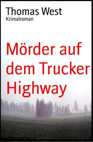 Cover of the book Mörder auf dem Trucker Highway by Christine Woydt