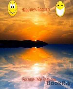 Cover of the book HAPPINESS BOOSTERS by Andrew Cohen