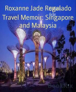 Book cover of Travel Memoir: Singapore and Malaysia