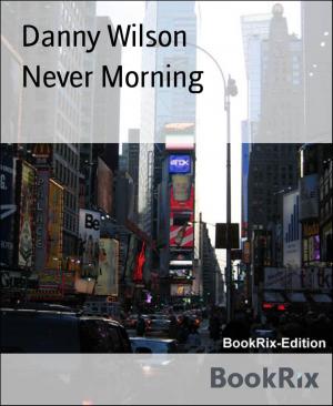 Cover of the book Never Morning by Kristjan Knall