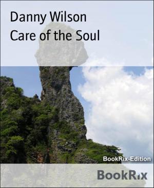 Cover of the book Care of the Soul by Horst Bieber