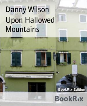 Cover of the book Upon Hallowed Mountains by Daniel Turner