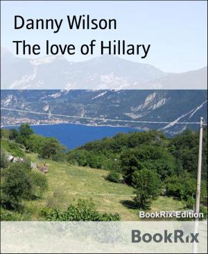 Cover of the book The love of Hillary by Wilfried A. Hary