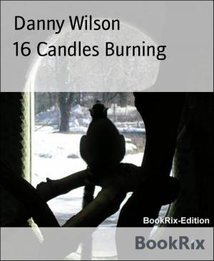 Book cover of 16 Candles Burning