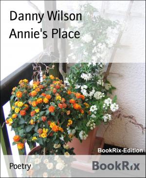 Cover of the book Annie's Place by Danny Wilson
