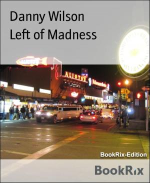 Cover of the book Left of Madness by Betty Barrings