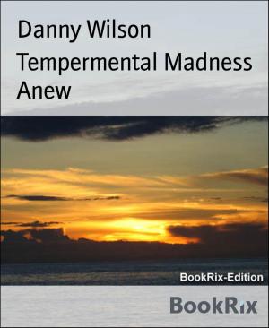 Cover of the book Tempermental Madness Anew by Helder Oliveira