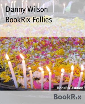 Cover of the book BookRix Follies by Erin Bernstein, Kisari Mohan Ganguli