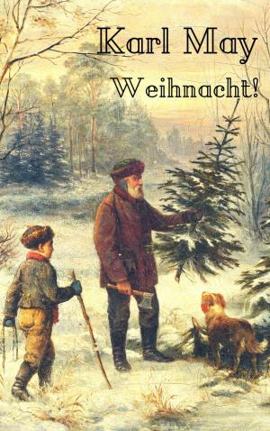 Cover of the book Karl May: Weihnacht! by Alessandro Dallmann