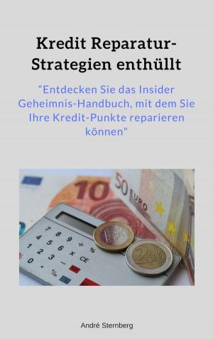 Book cover of Kredit Reparatur-Strategien enthüllt