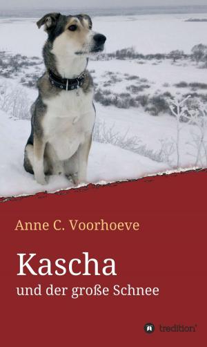 Book cover of Kascha und der große Schnee