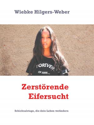 Cover of the book Zerstörende Eifersucht by Heike Röben