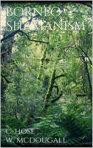 Cover of the book Borneo shamanism by Ellen Schnittker