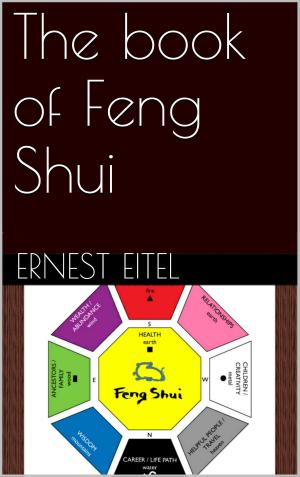 Cover of the book The book of Feng Shui by Kurt Dröge