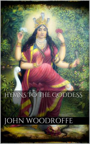 Cover of the book Hymns to the Goddess by Christian Schlieder