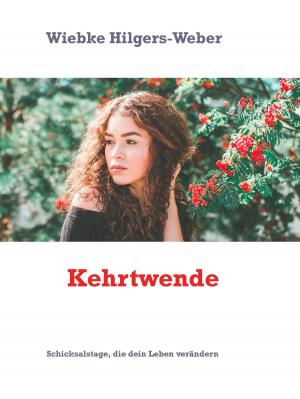 Cover of the book Kehrtwende by Michael G. Waltenberger, Sina Kistner