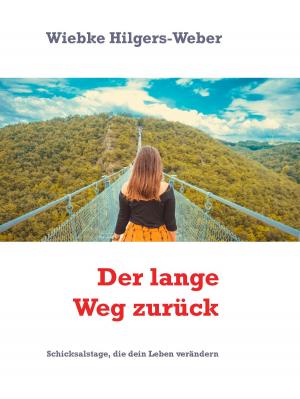 Cover of the book Der lange Weg zurück by Nicolaus Dinter