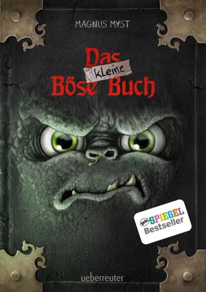 Cover of the book Das kleine Böse Buch by Sylvia Schneider, Katrin Warnstedt