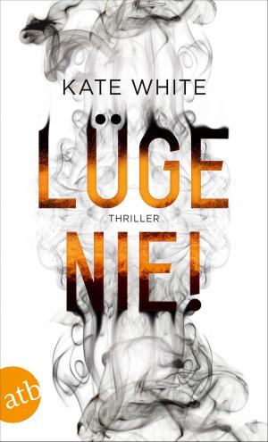 Cover of the book Lüge nie! by Nino Filastò