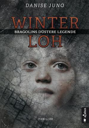 Cover of the book Winterloh. Bragolins düstere Legende by Johann Peters