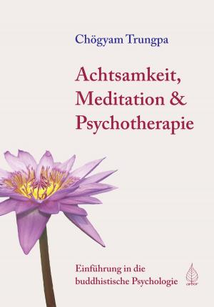 Cover of the book Achtsamkeit, Meditation & Psychotherapie by Daniel Odier