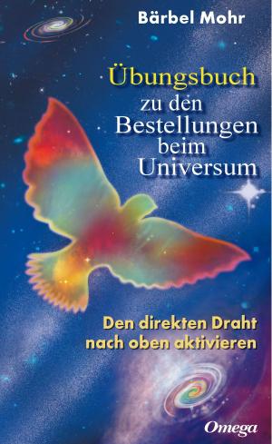 Cover of the book Übungsbuch zu den Bestellungen beim Universum by Kurt Tepperwein