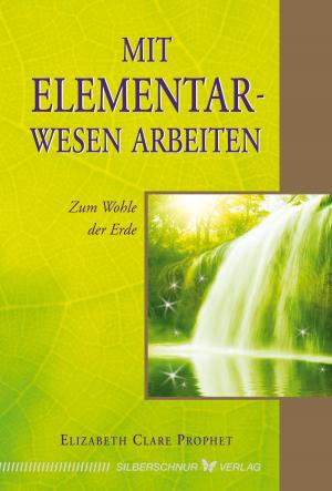 Book cover of Mit Elementarwesen arbeiten