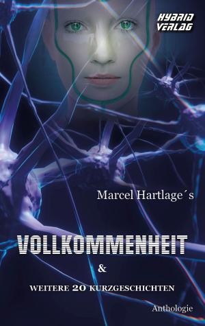 Book cover of Vollkommenheit