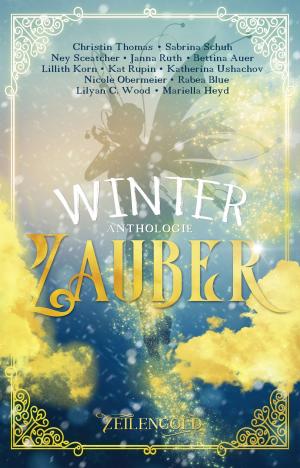 Book cover of Winterzauber